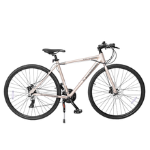 Load image into Gallery viewer, Paramount 100 Metallic Beige
